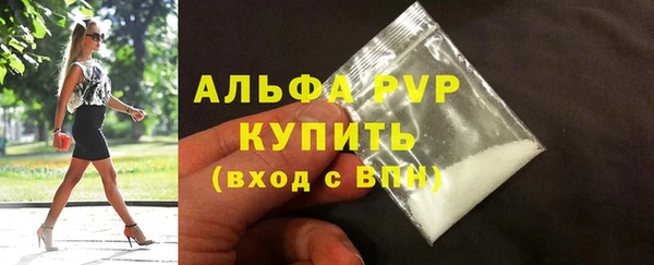 дживик Богородицк