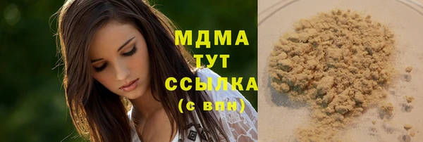 дживик Богородицк