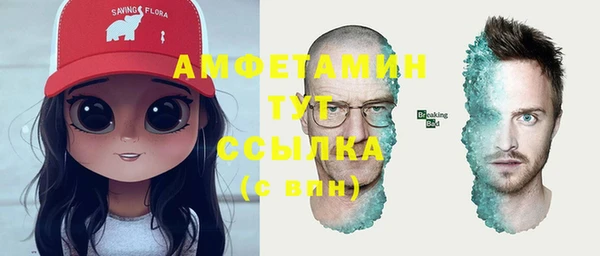 дживик Богородицк