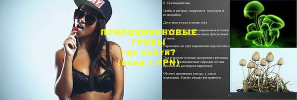 тгк Богданович