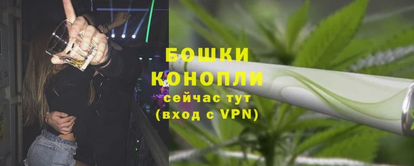 тгк Богданович