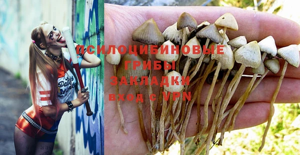 дживик Богородицк
