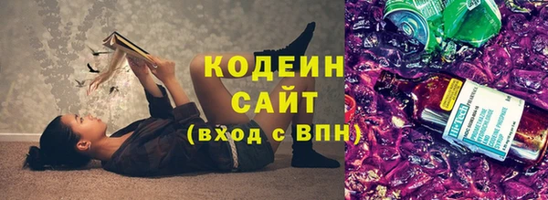 дживик Богородицк