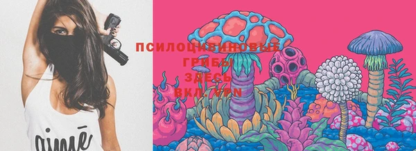 дживик Богородицк