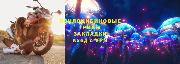 тгк Богданович