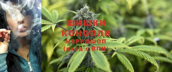 дживик Богородицк