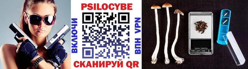 Купить закладки  Рыбное  Псилоцибиновые грибы Psilocybe 