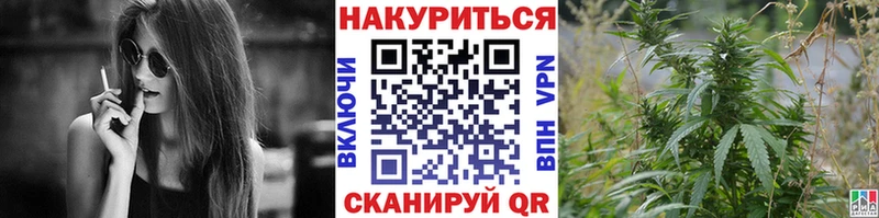 Бошки Шишки план  Купить где  Рыбное 